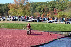 Ocean Spray Fall Harvest Festival