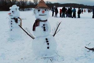 Franklin Park Snow Festival