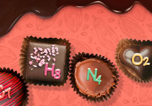 Chocolate: The Exhibition
