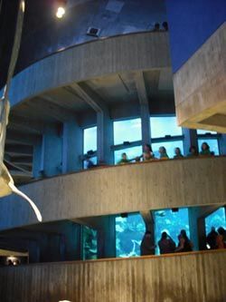 new-england-aquarium-tank