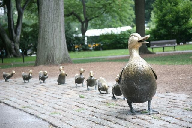 make-way-for-ducklings-boston