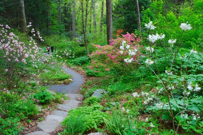 Boston Outdoor Activity Garden in the Woods