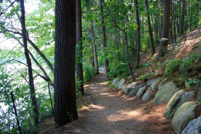 Boston Outdoor Activity Walden Pond Trails