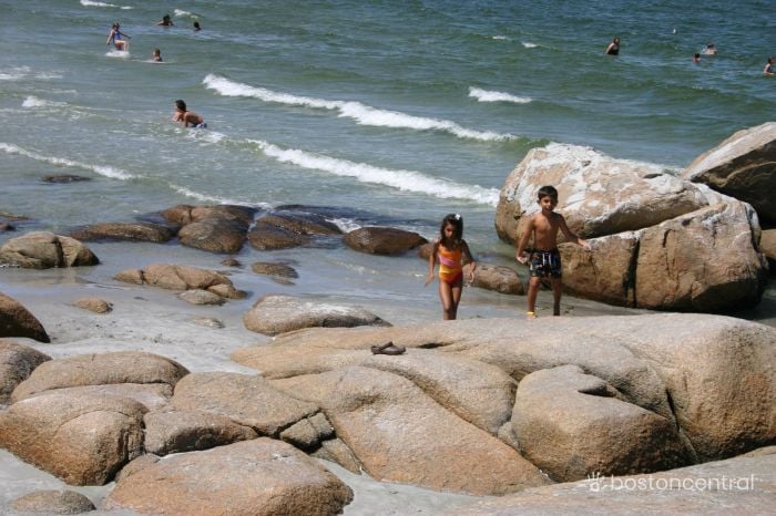 Wingaersheek Beach