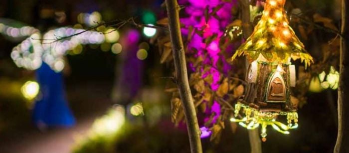 faeries aglow 