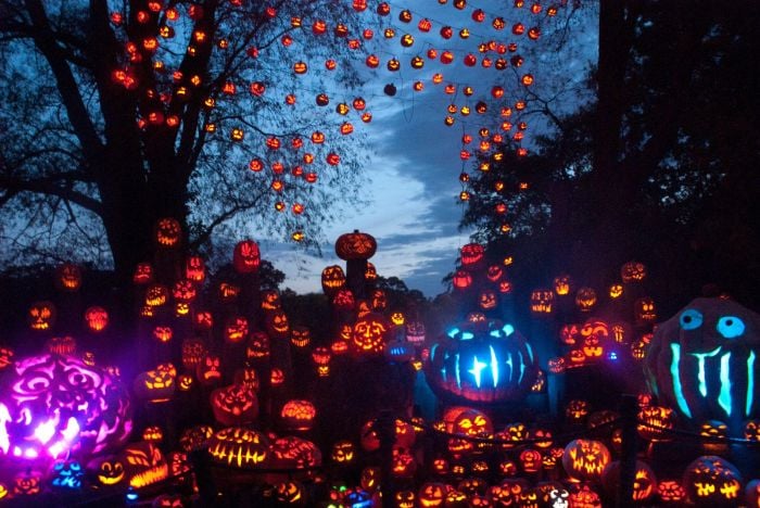 Pumpkin Festivals and Jack-O-Lantern Displays Near Boston in 2023