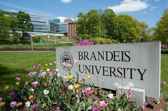 Things to Do Near Brandeis University