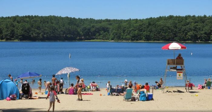 walden pond concord near brandeis