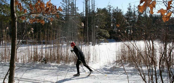 Cross Country Skiing Near Boston Great Brook Farm