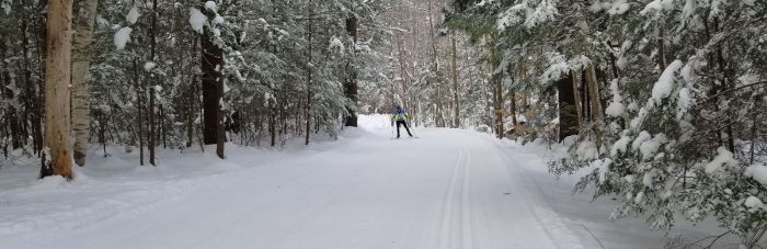 Cross Country Skiing Near Boston Gunstock