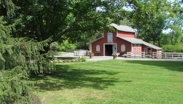 farm animals near boston - endicott park