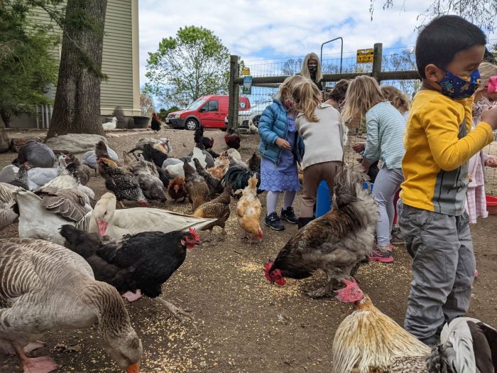 farm animals near boston - Unity Farm