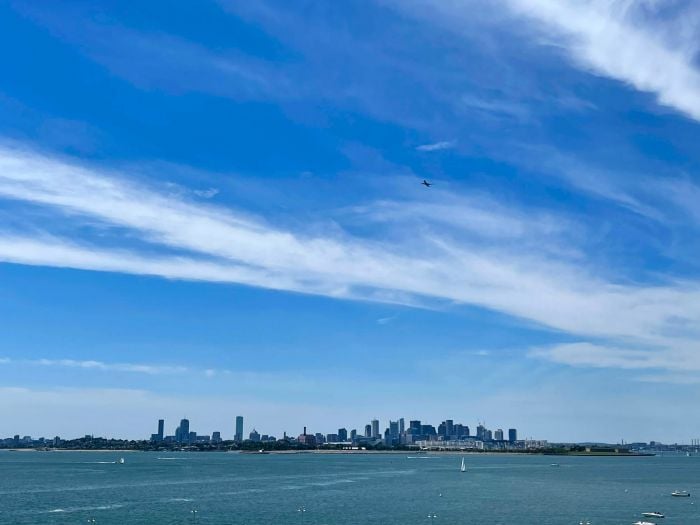 Spectacle Island Boston Views