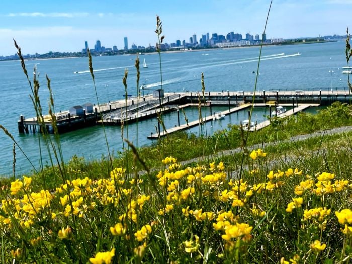 Spectacle Island Boston