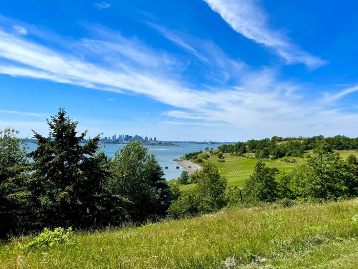 Spectacle Island Boston Views