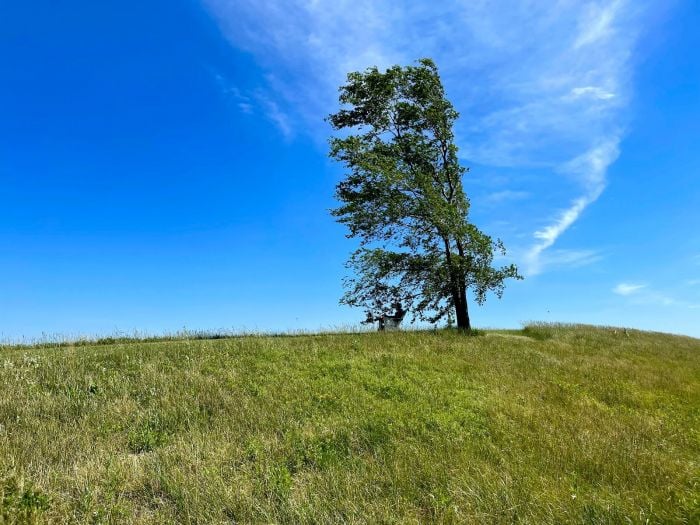 Spectacle Island Boston