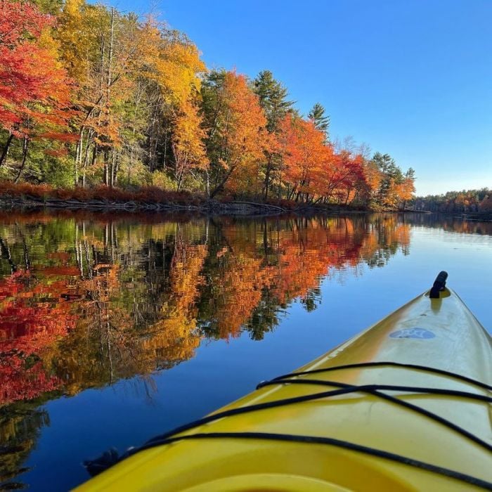 Fall Foliage Adventures for Families and Kids in New England