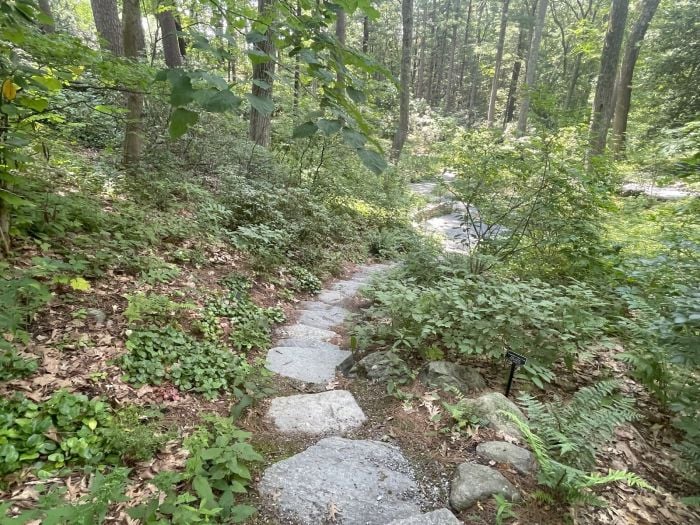 garden in the woods native plant trust