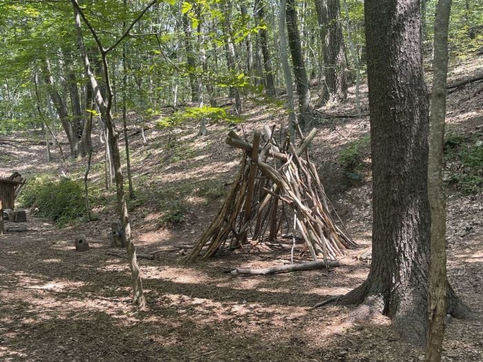 garden in the woods native plant trust kids play area