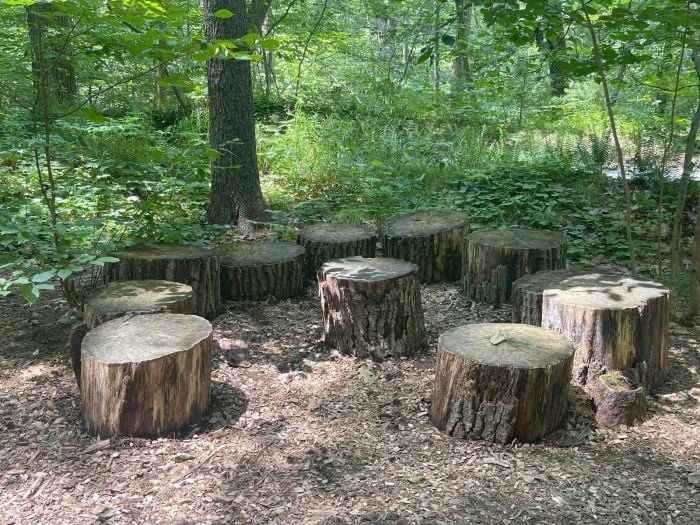 garden in the woods native plant trust family play area