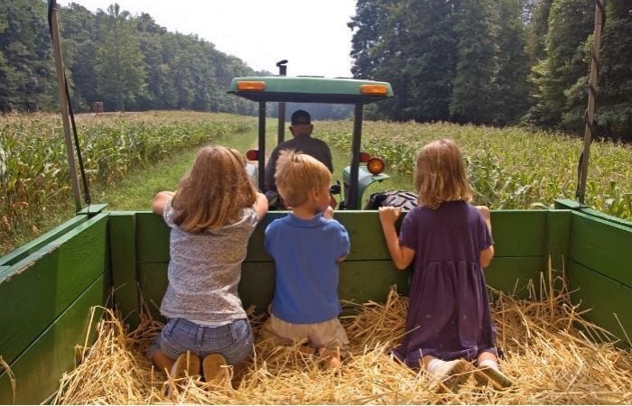 Hayrides Near Boston for Kids of all Ages