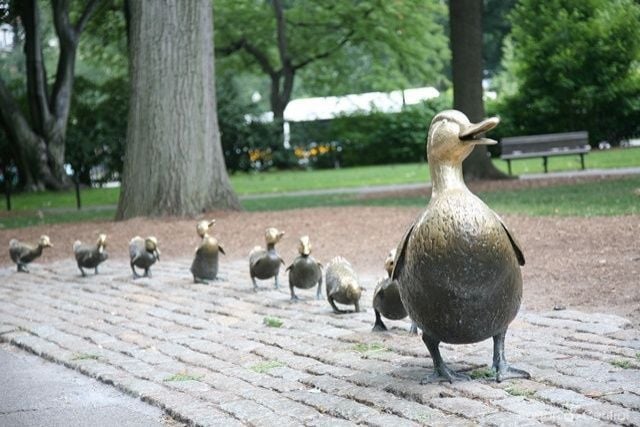 Free Things to Do in Boston - The 2025 Ultimate Guide