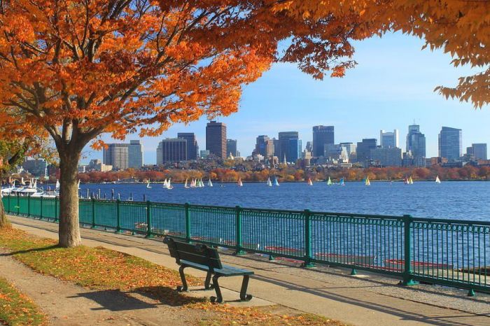 Ultimate Guide to Fall Fun in Boston
