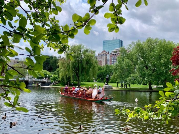 Swan Boat Boston