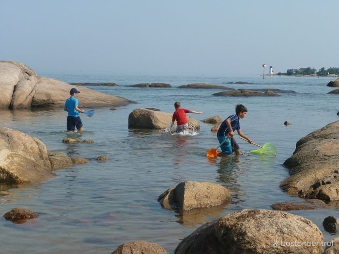 wingaersheek-beach-near-boston