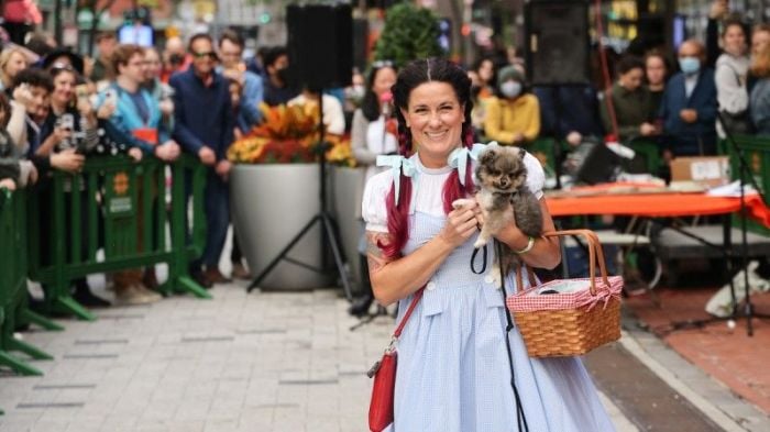 boston halloween pet parade downtown