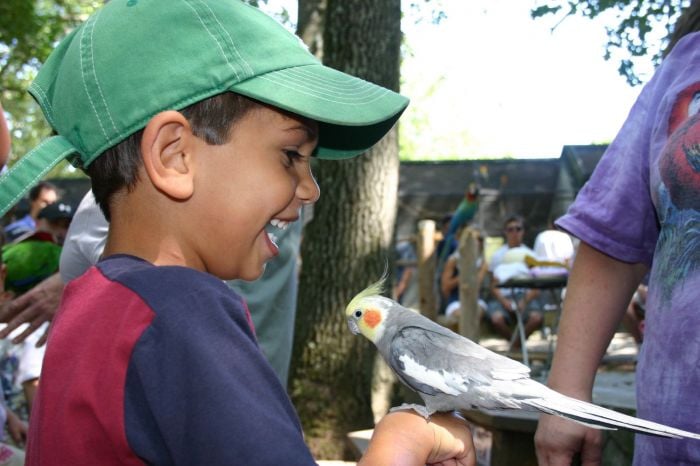 Southwicks Zoo Jay Sao 