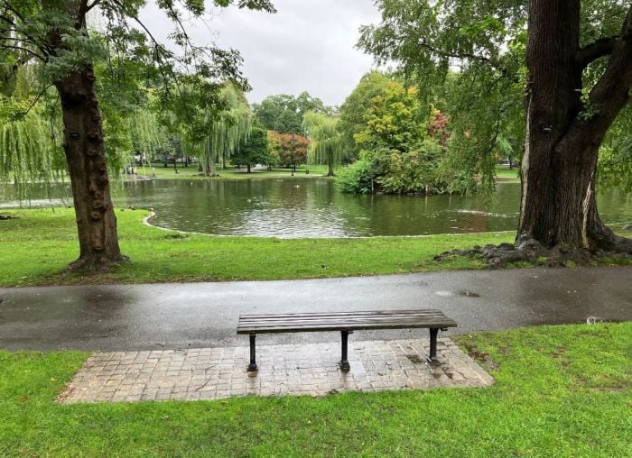 boston public garden good will hunting bench