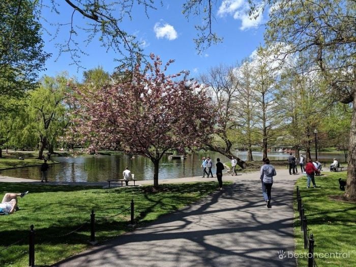 What to see  do near Boston Common and Boston Public Garden 