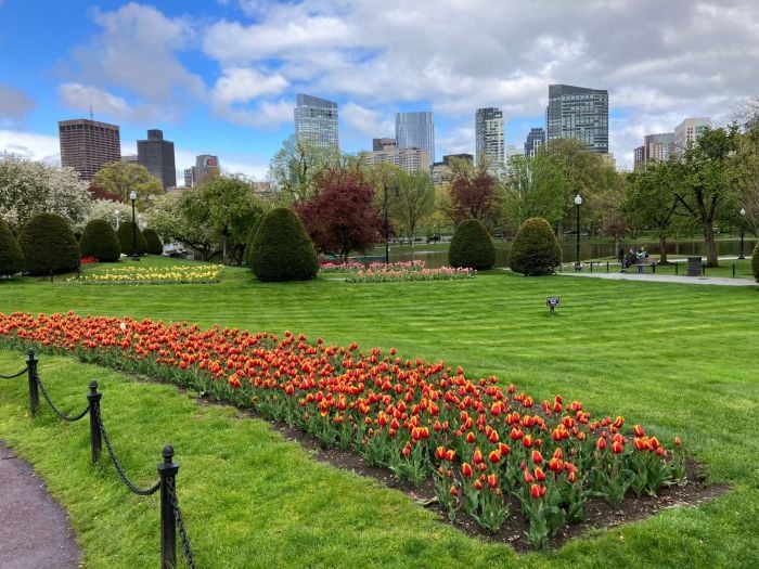 Boston Public Garden