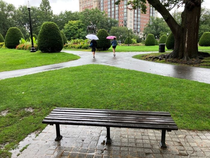 rainy day boston umbrellas