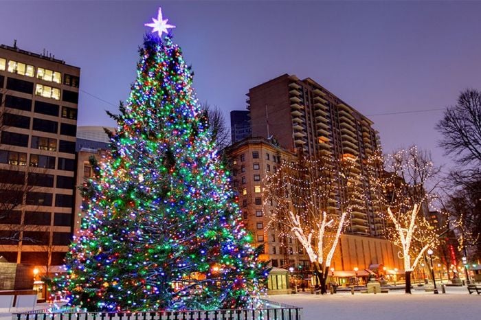 boston-christmas-tree-lighting