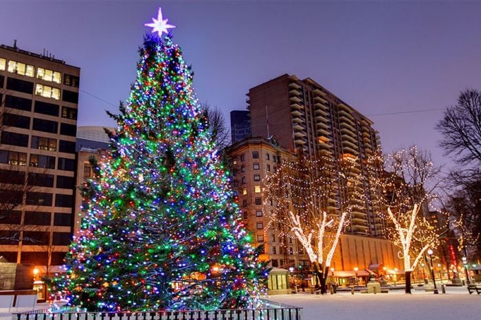 Boston Christmas Events 2022 Boston November Events 2022
