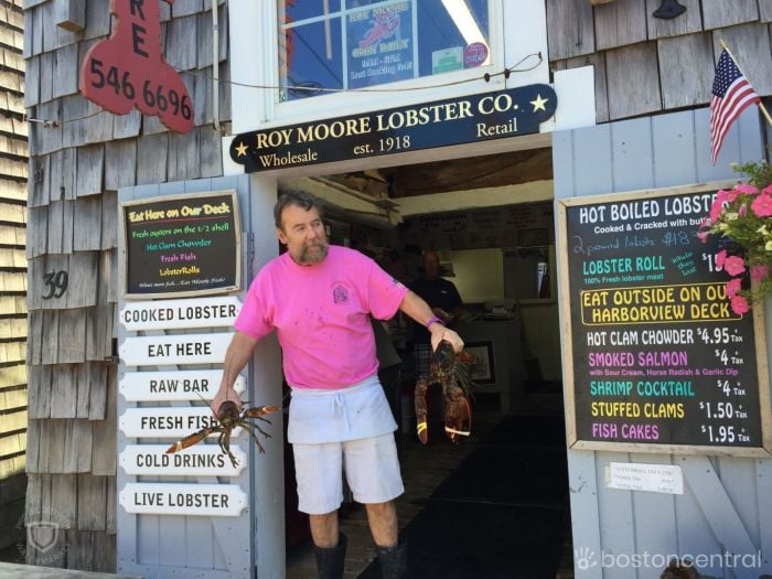 Rockport Roy Moores Lobster