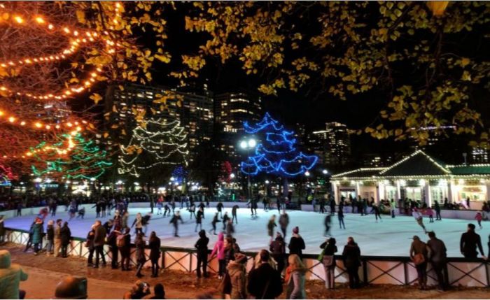 Frog Pond Ice Skating Rink Night 