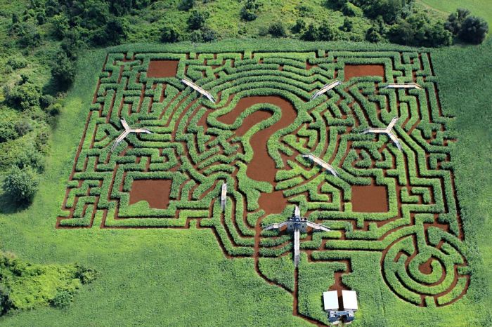 Corn Mazes Near Boston