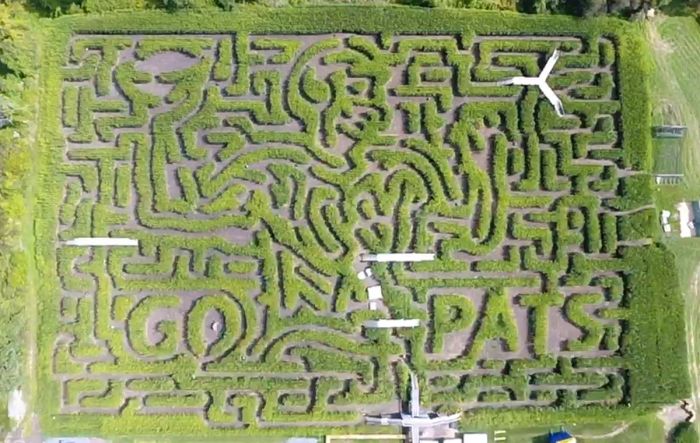 corn maze near boston massachusetts