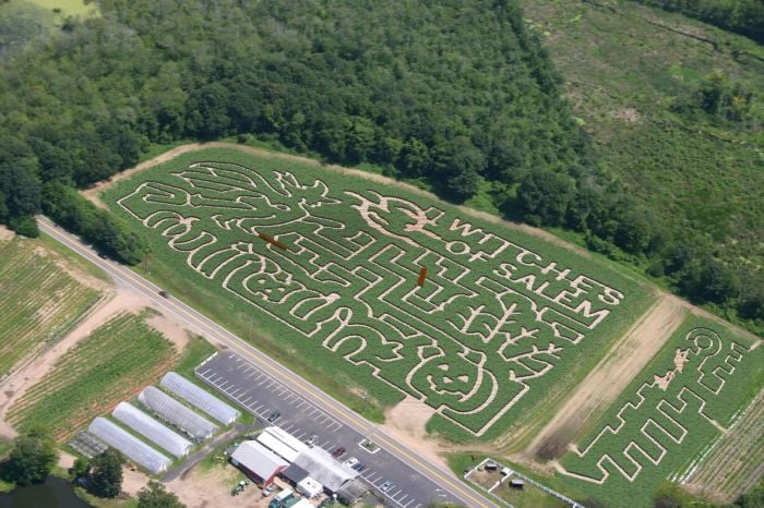 corn maze near boston massachusetts