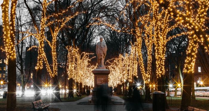 Boston Holiday Lights Commonwealth Mall