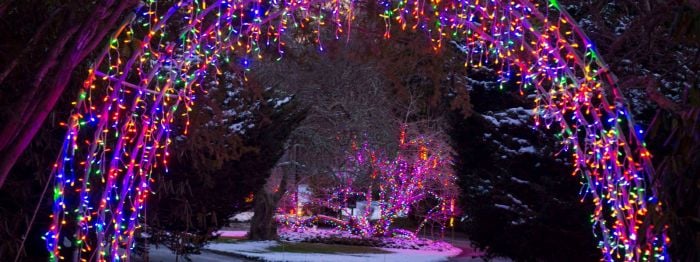 Boston Holiday Lights Gardens Aglow Sandwich