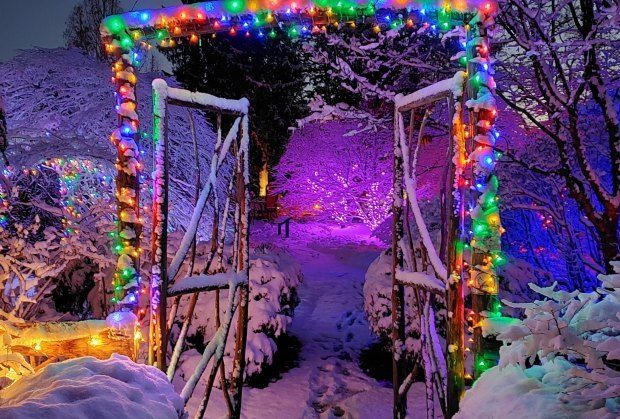 Boston Holiday Lights Mass Hort Wellesley