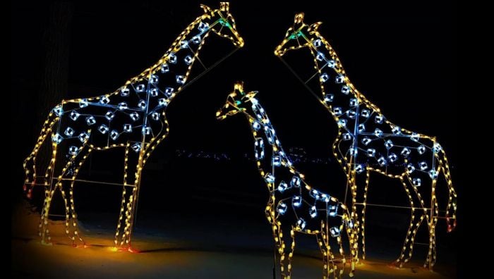 Boston Holiday Events & Lights