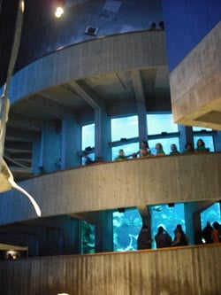 new england aquarium boston photo