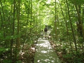 broad meadow brook conservation center  wildlife sanctuary photo