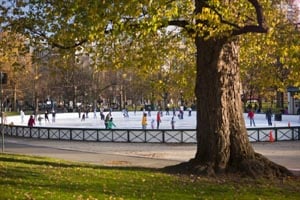 frog pond ice skating photo