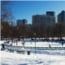 frog pond ice skating small photo